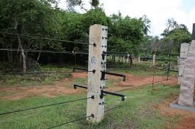 ELEPHANT ELECTRIC FENCE-image