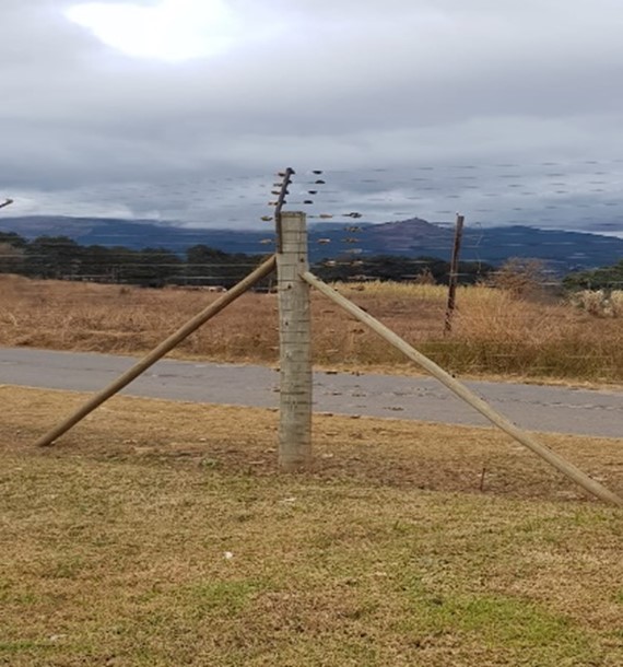 WOODEN POLE FENCE-image